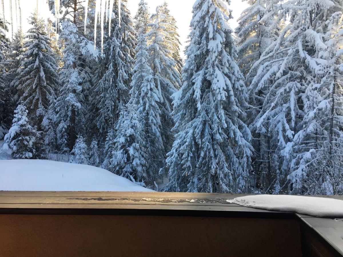 Borovets Chalets Esterno foto