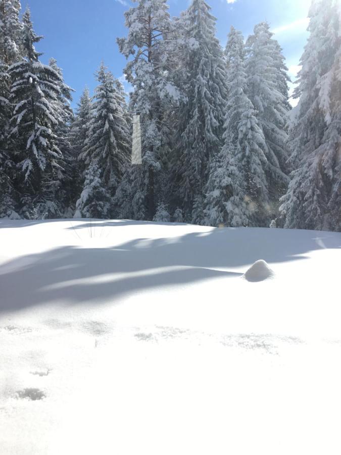 Borovets Chalets Esterno foto