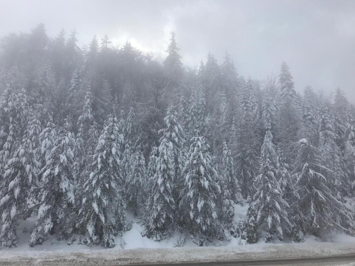 Borovets Chalets Esterno foto